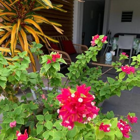 Le Tropical Appartement 1 Ou 2 Chambres Les Anses-d'Arlets Ngoại thất bức ảnh