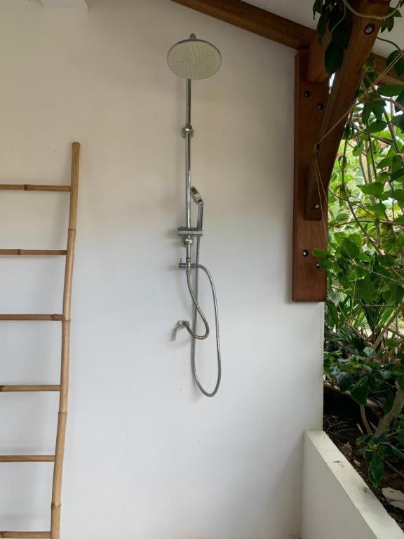 Le Tropical Appartement 1 Ou 2 Chambres Les Anses-d'Arlets Ngoại thất bức ảnh